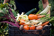 Community Supported Agriculture (CSA) Programs 