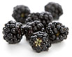 Blackberries