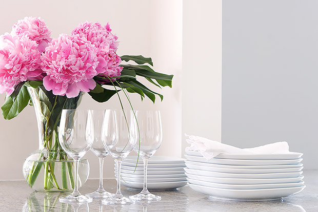 Hosting a Healthy Party