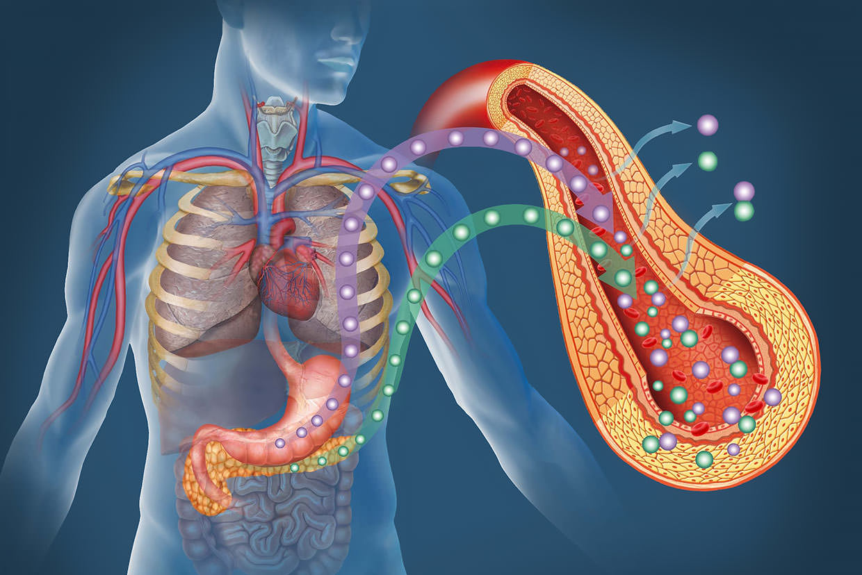 How diabetes affects the body graphic illustration